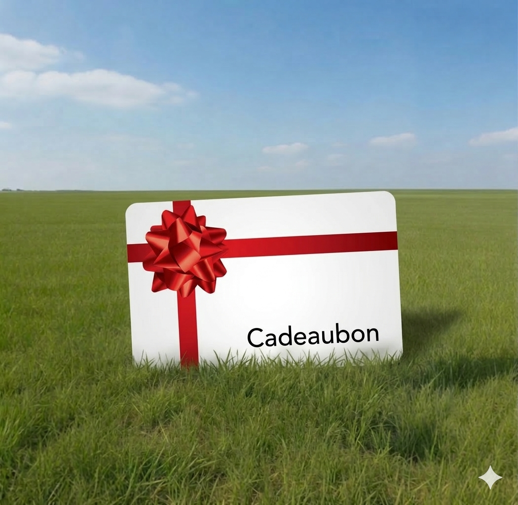 Mr.CampChamp Cadeaubon